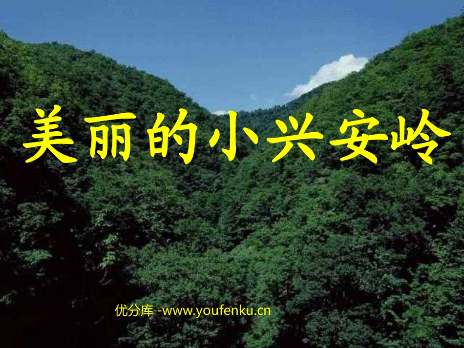 《美丽的小兴安岭》PPT教学课件[部编版三年级语文上册]_第1页
