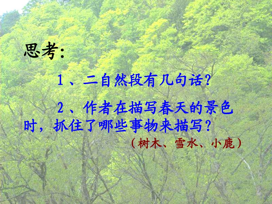 《美丽的小兴安岭》PPT教学课件[部编版三年级语文上册]_第3页