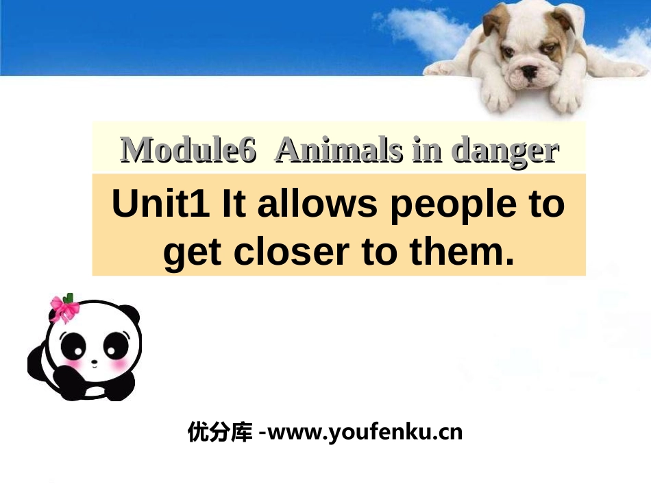 《It allows people to get closer to them》Animals in danger PPT课件_第1页