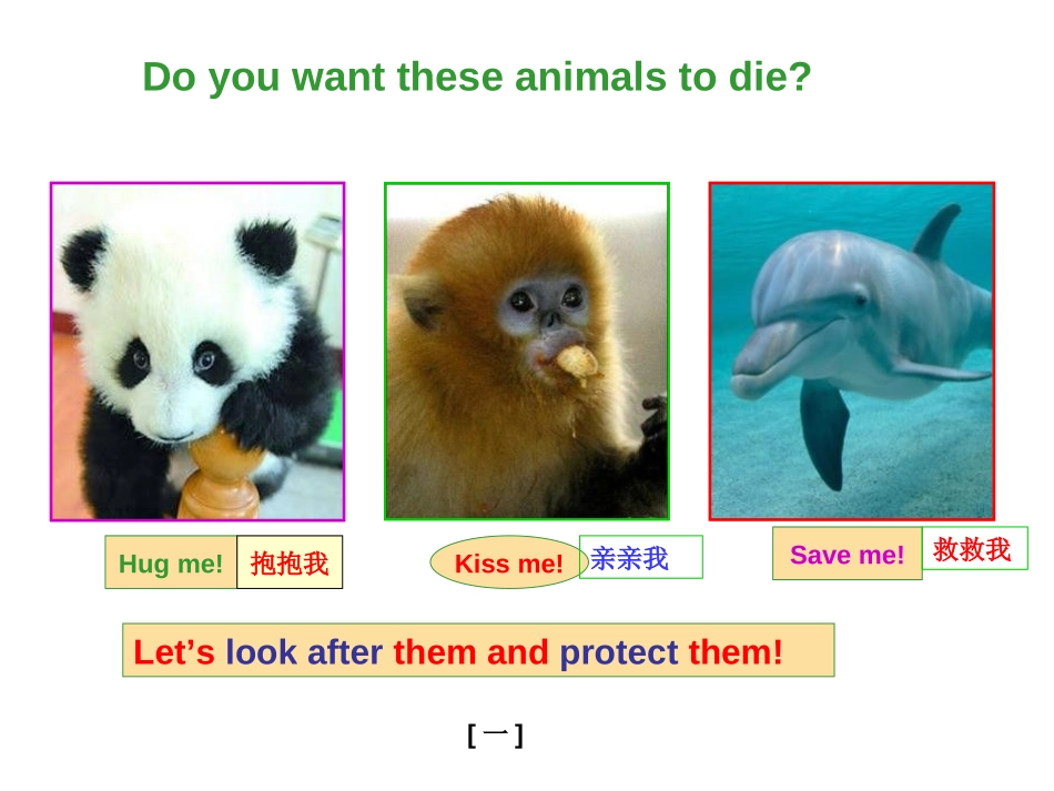《It allows people to get closer to them》Animals in danger PPT课件_第3页