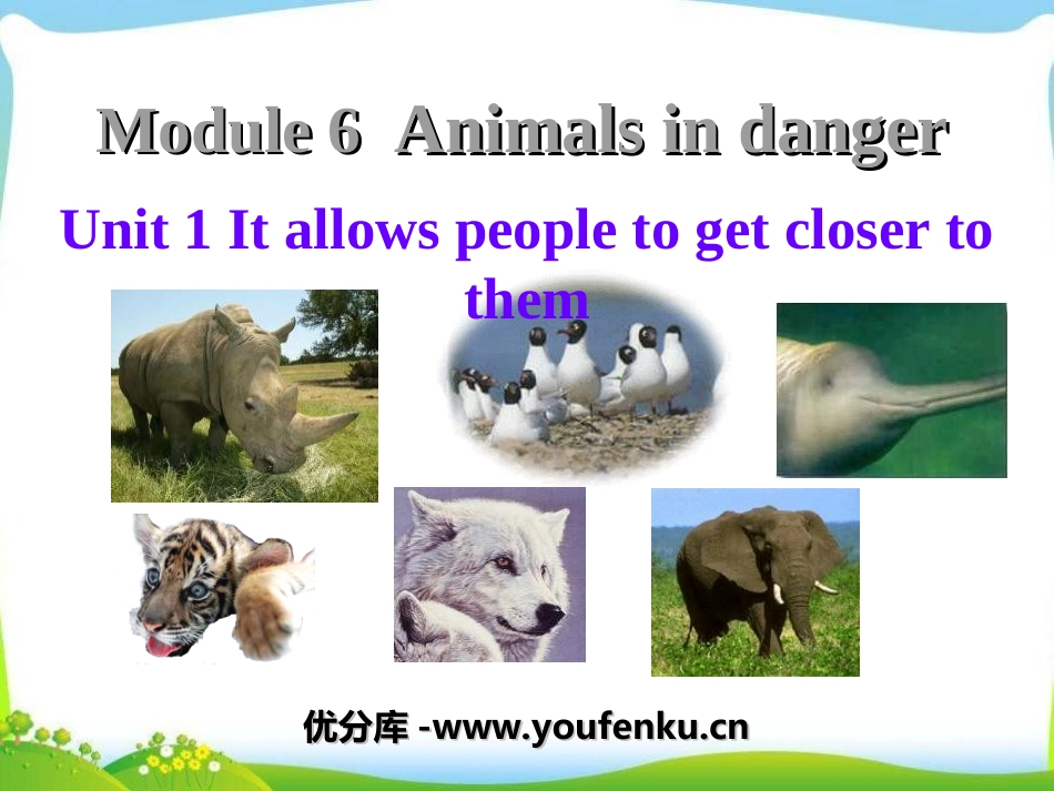 《It allows people to get closer to them》Animals in danger PPT课件_第1页