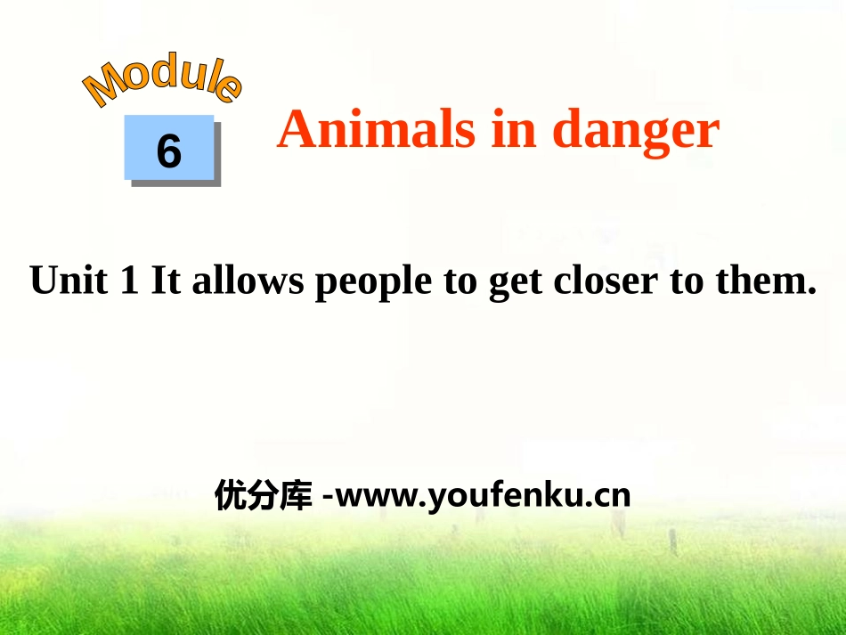 《It allows people to get closer to them》Animals in danger PPT课件_第1页