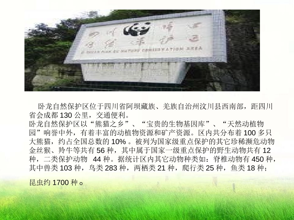《It allows people to get closer to them》Animals in danger PPT课件_第2页