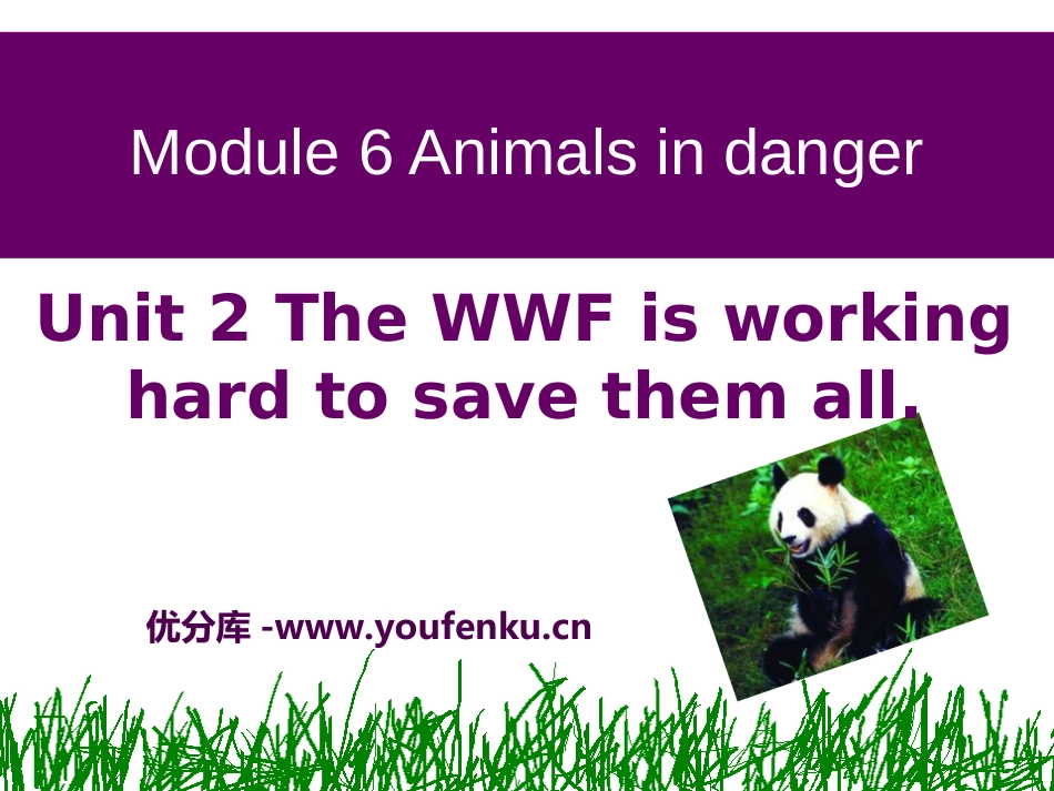 《The WWF is working hard to save them all》Animals in danger PPT课件_第1页
