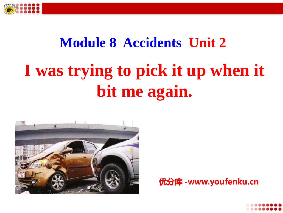 《I was trying to pick it up when it bite me again》Accidents PPT课件_第1页