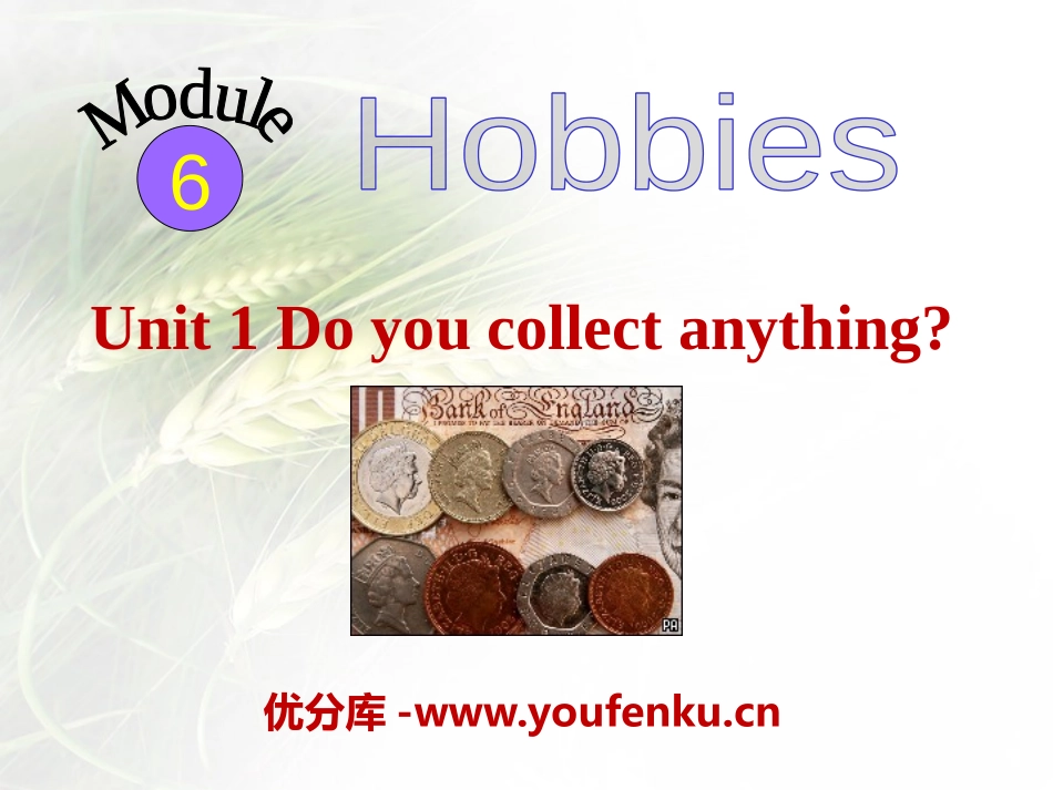 《Do you collect anything?》Hobbies PPT课件_第1页