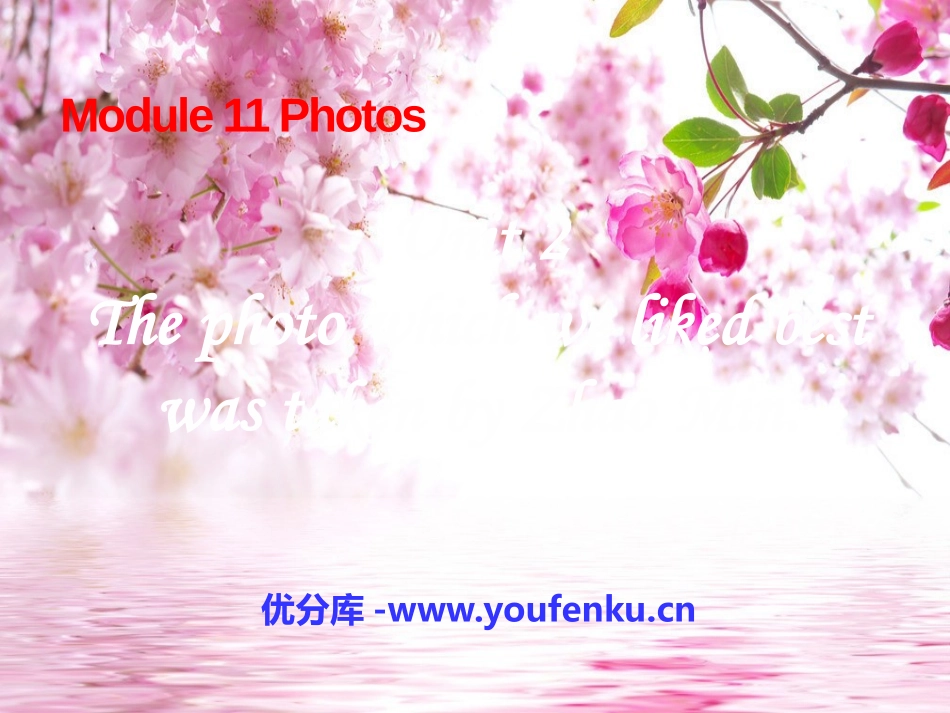 《The photo which we liked best was taken by Zhao Min》Photos PPT课件_第1页