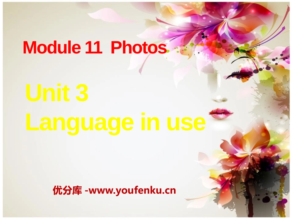 《Language in use》Photos PPT课件_第1页