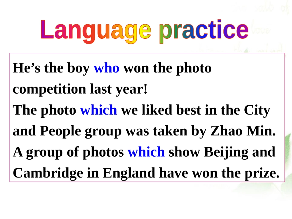 《Language in use》Photos PPT课件_第2页