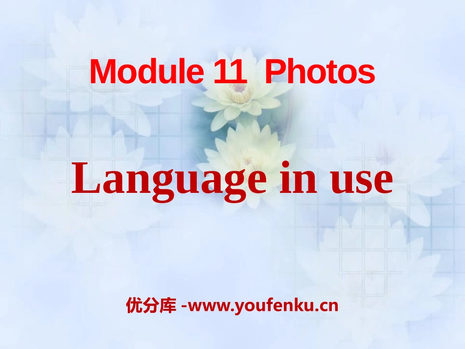 《Language in use》Photos PPT课件_第1页