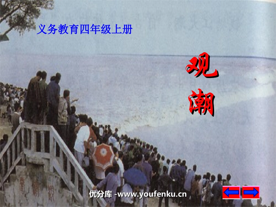 《观潮》PPT课件[部编版三年级语文上册]_第1页