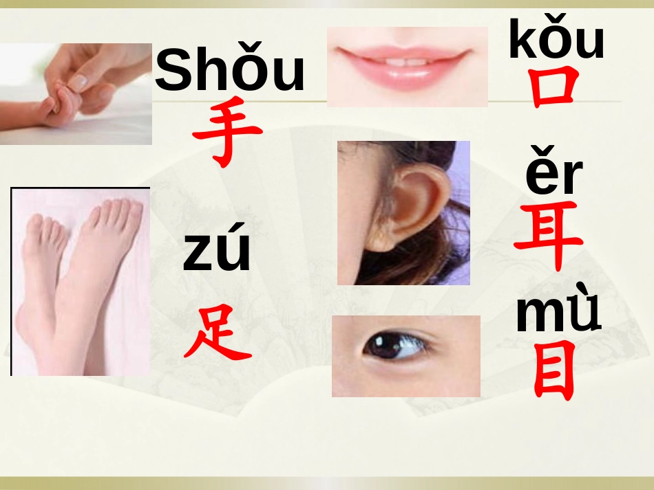 《手足口耳目》识字PPT课件[S版一年级语文上册]_第2页