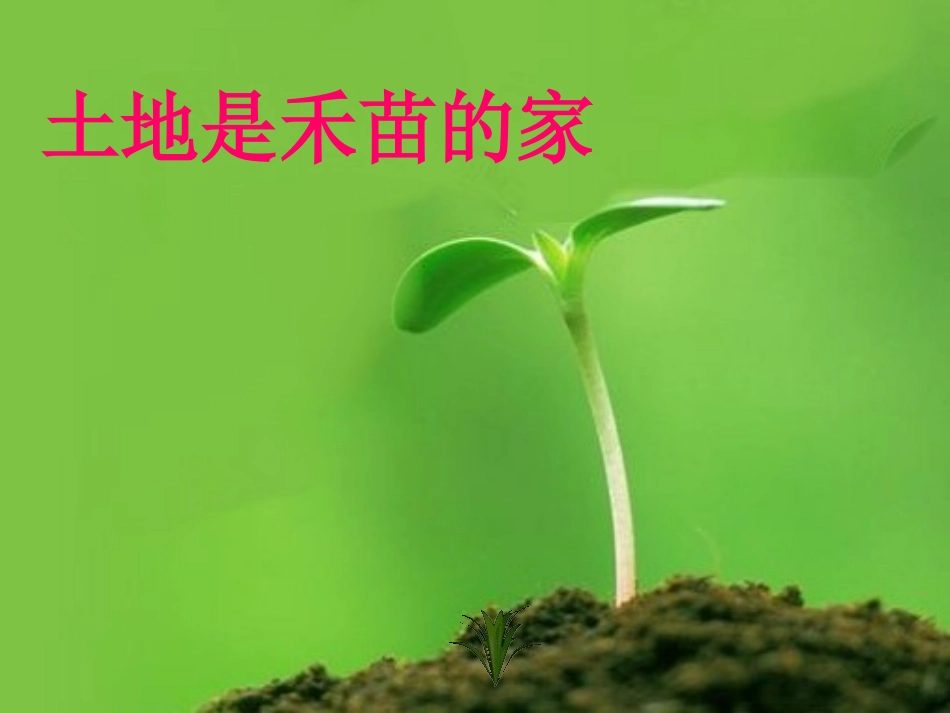 《共同的家》PPT课件[S版一年级语文上册]_第3页