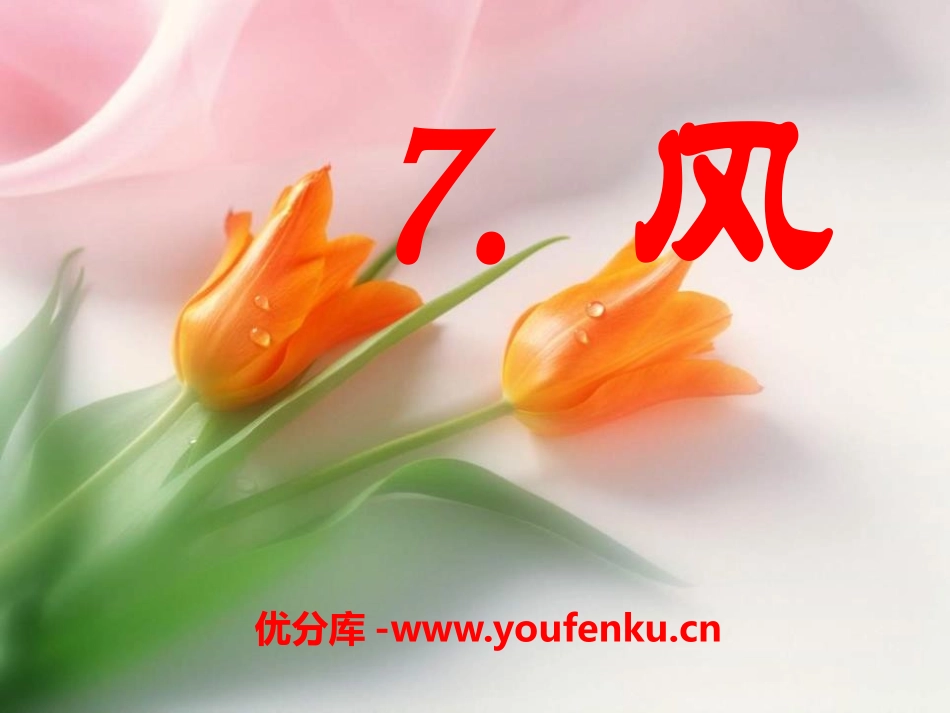 《风》PPT课件[S版一年级语文上册]_第1页