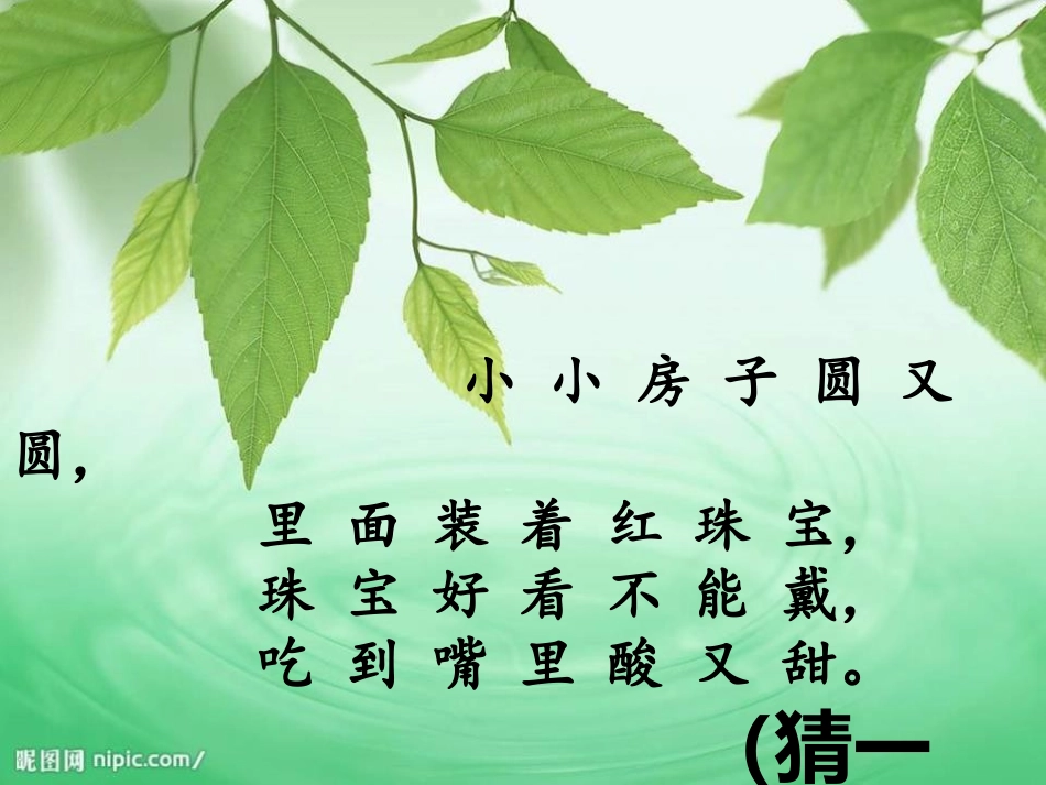 《石榴笑了》PPT课件[S版一年级语文上册]_第2页
