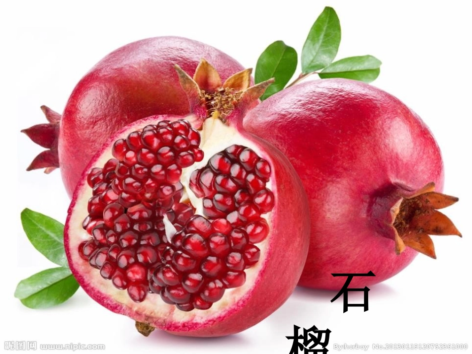 《石榴笑了》PPT课件[S版一年级语文上册]_第3页