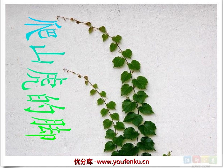 《爬山虎的脚》PPT教学课件[部编版四年级语文上册]_第1页