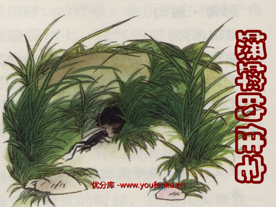 《蟋蟀的住宅》ppt教学课件[部编版四年级语文上册]_第1页