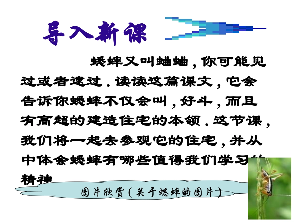 《蟋蟀的住宅》ppt教学课件[部编版四年级语文上册]_第3页