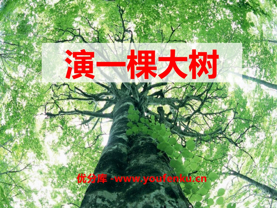 《演一棵大树》PPT课件[S版一年级语文下册]_第1页