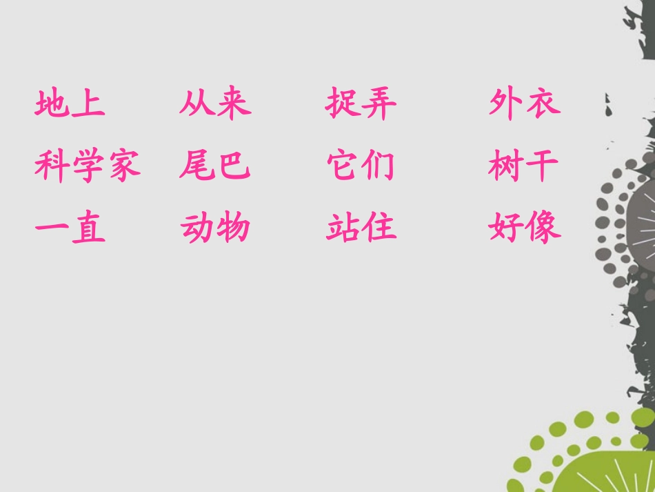 《达尔文和小松鼠》PPT课件[S版一年级语文下册]_第2页