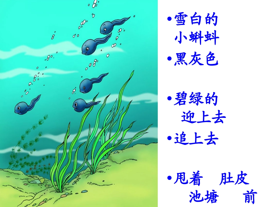 《小蝌蚪找妈妈》PPT课件[S版一年级语文下册]_第1页