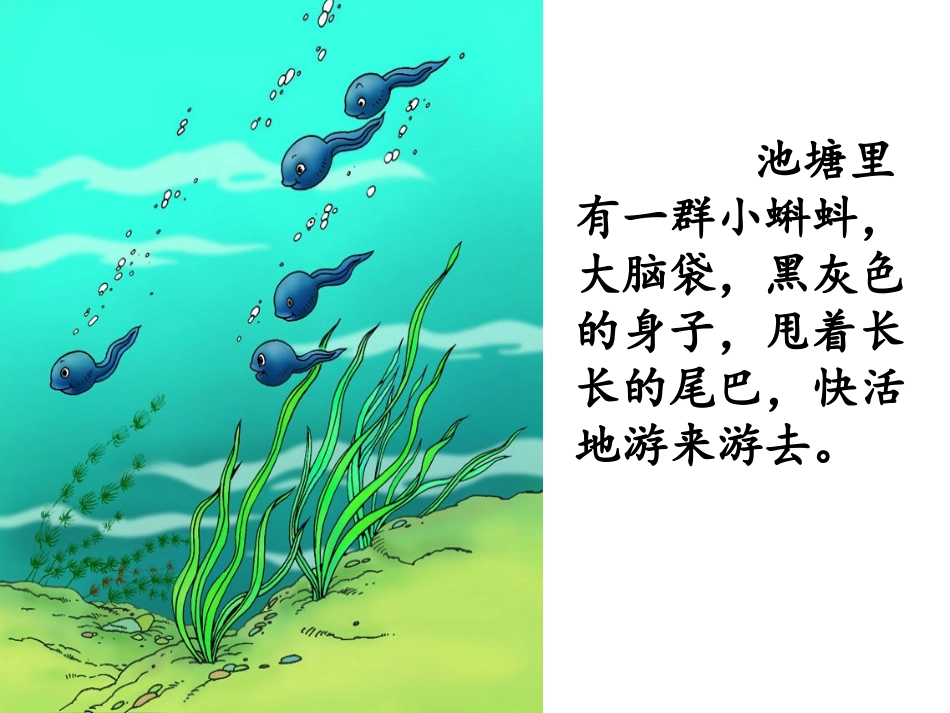 《小蝌蚪找妈妈》PPT课件[S版一年级语文下册]_第2页