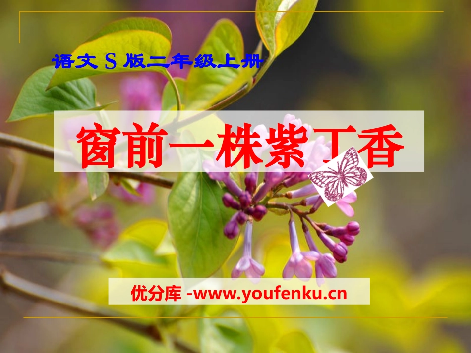 《窗前一株紫丁香》PPT课件[S版二年级语文上册]_第1页