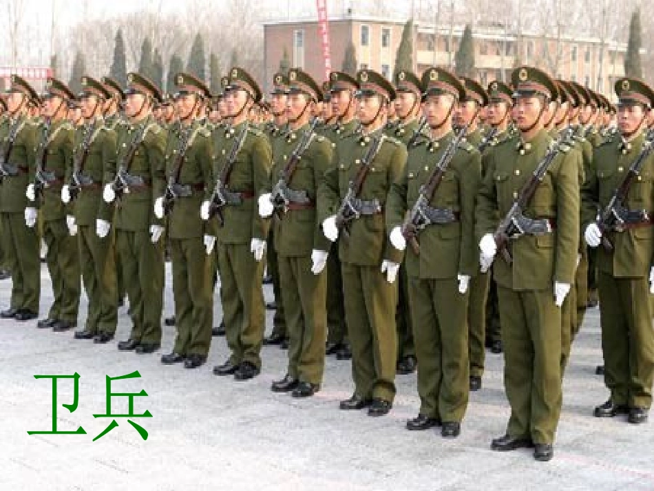 《保护庄稼好卫兵》PPT课件[S版二年级语文上册]_第3页