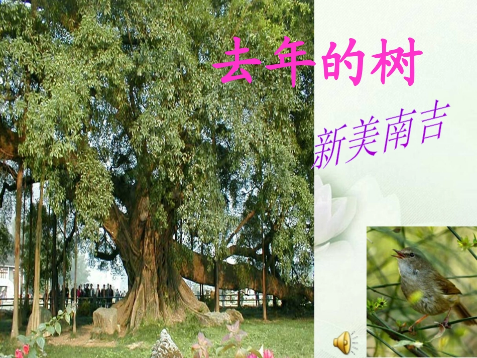 《去年的树》PPT教学课件[部编版四年级语文上册]_第2页