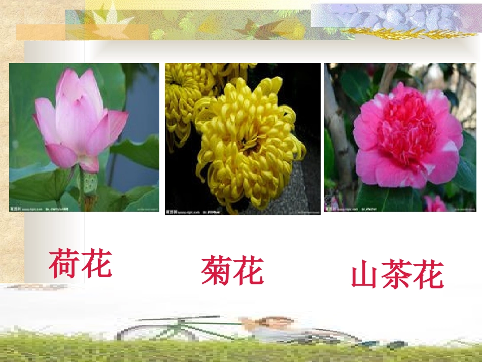 《读读词语识汉字》PPT课件[S版二年级语文上册]_第2页