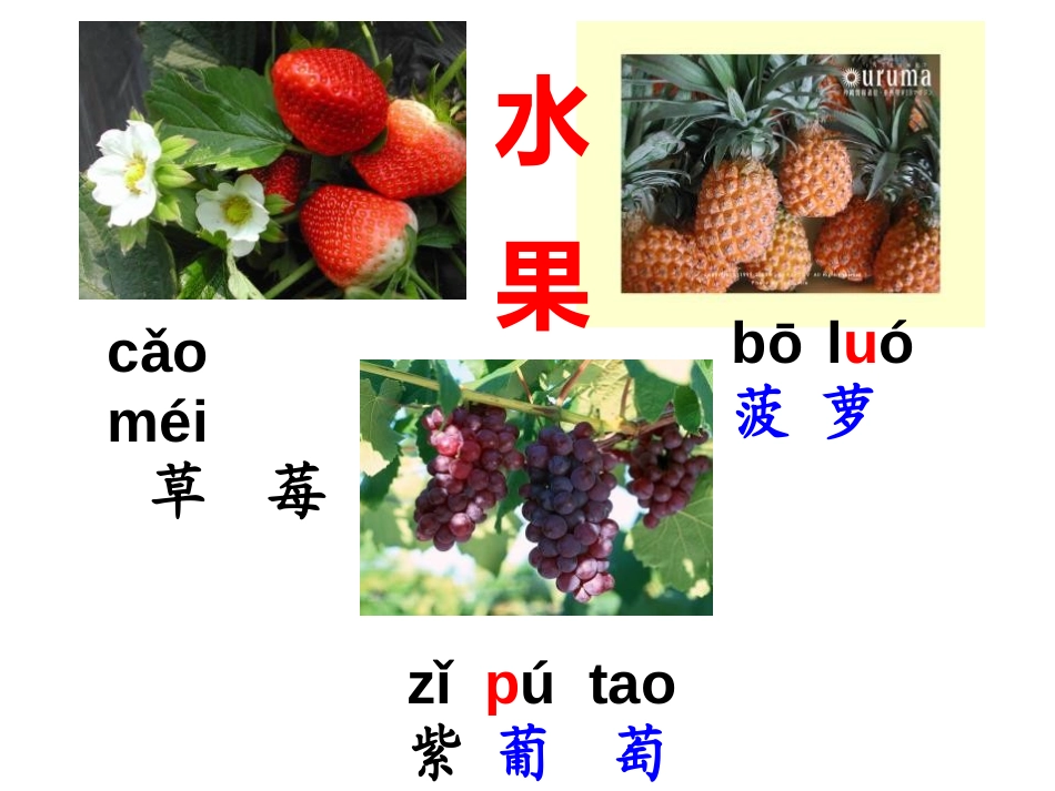 《读读词语识汉字》PPT课件[S版二年级语文上册]_第3页