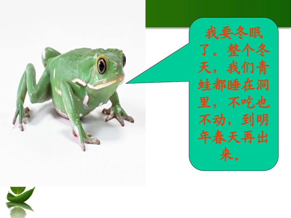 《动物过冬》PPT课件[S版二年级语文上册]_第3页
