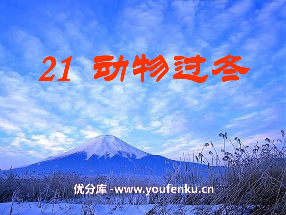 《动物过冬》PPT课件[S版二年级语文上册]_第1页