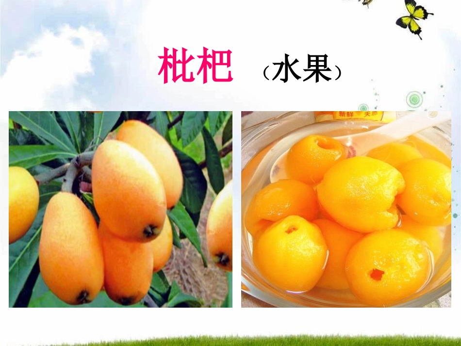 《“枇杷”和“琵琶”》PPT课件[S版二年级语文上册]_第2页