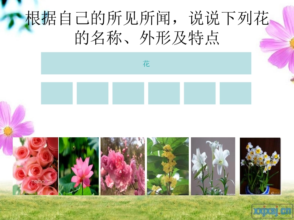 《梅花》PPT课件[S版二年级语文上册]_第3页