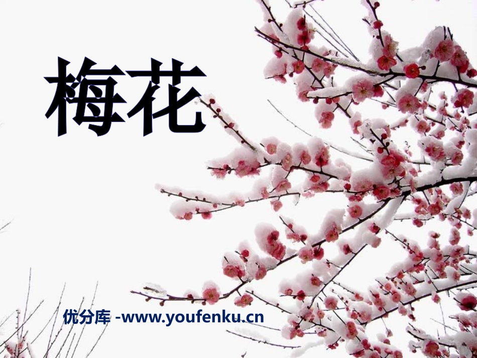《梅花》PPT课件[S版二年级语文上册]_第1页