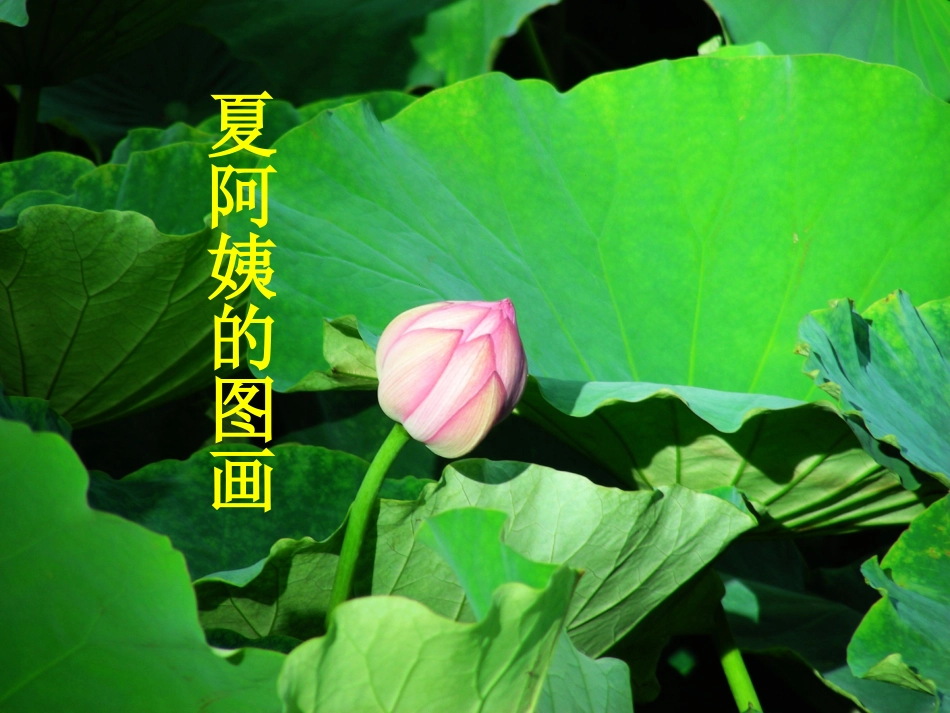 《冬爷爷的图画》PPT课件[S版二年级语文上册]_第2页