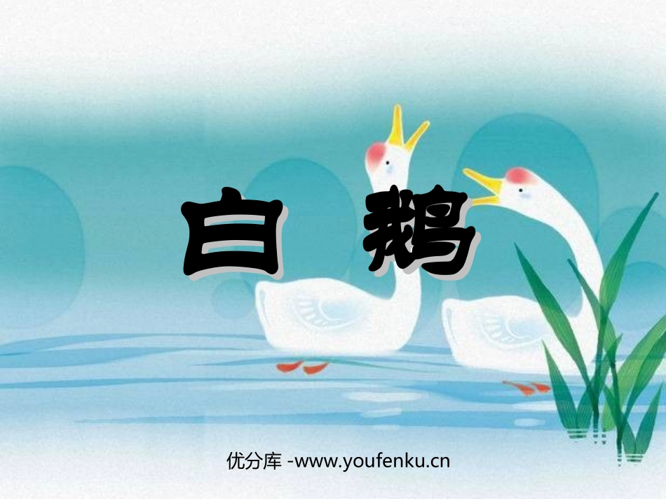 《白鹅》PPT课件[部编版四年级语文上册]_第1页