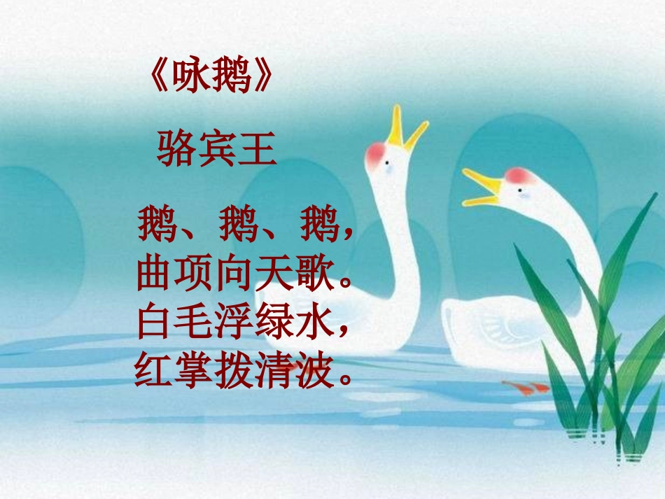 《白鹅》PPT课件[部编版四年级语文上册]_第2页