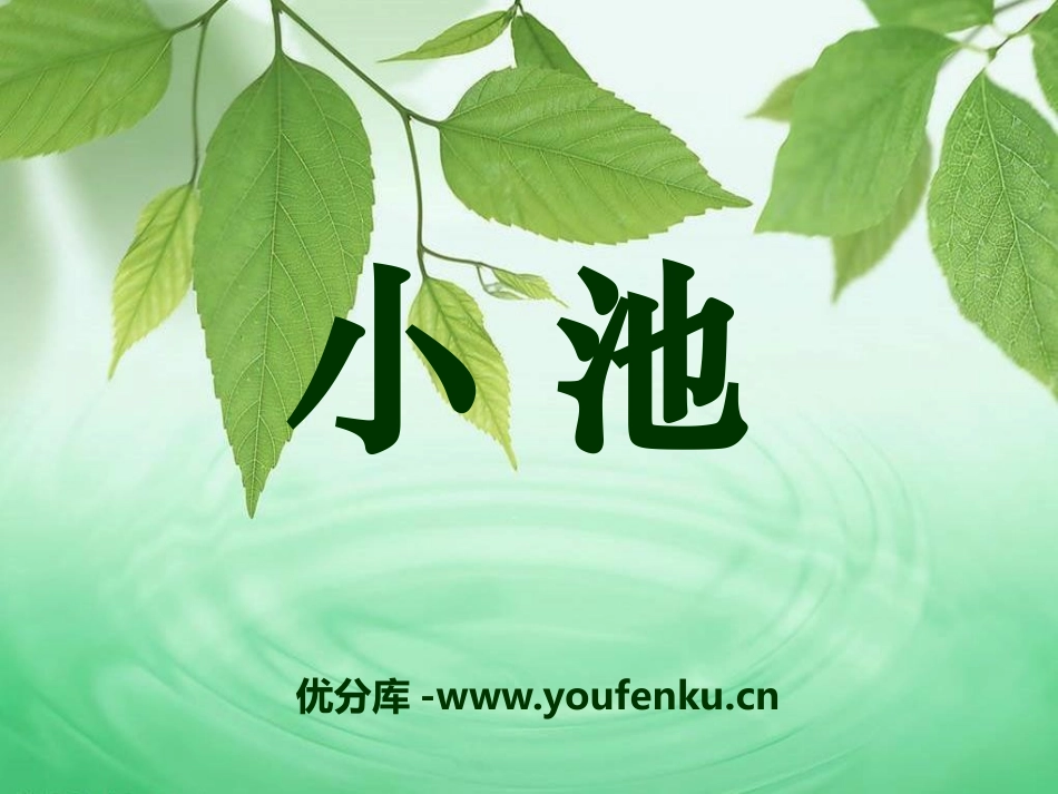 《小池》PPT课件[S版二年级语文下册]_第1页