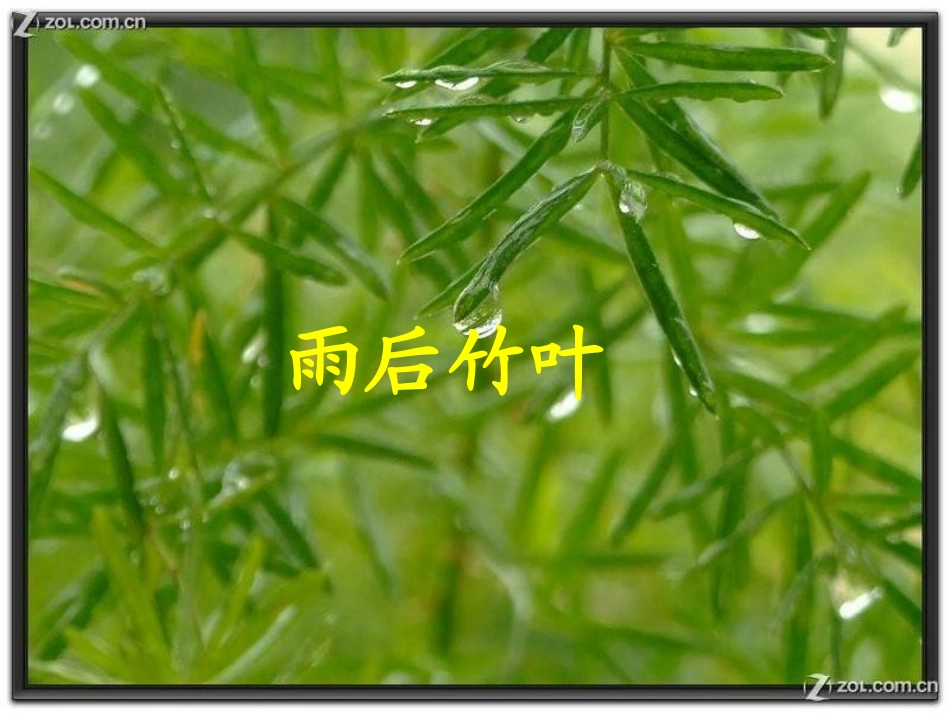 《雨后》PPT课件[S版二年级语文下册]_第3页