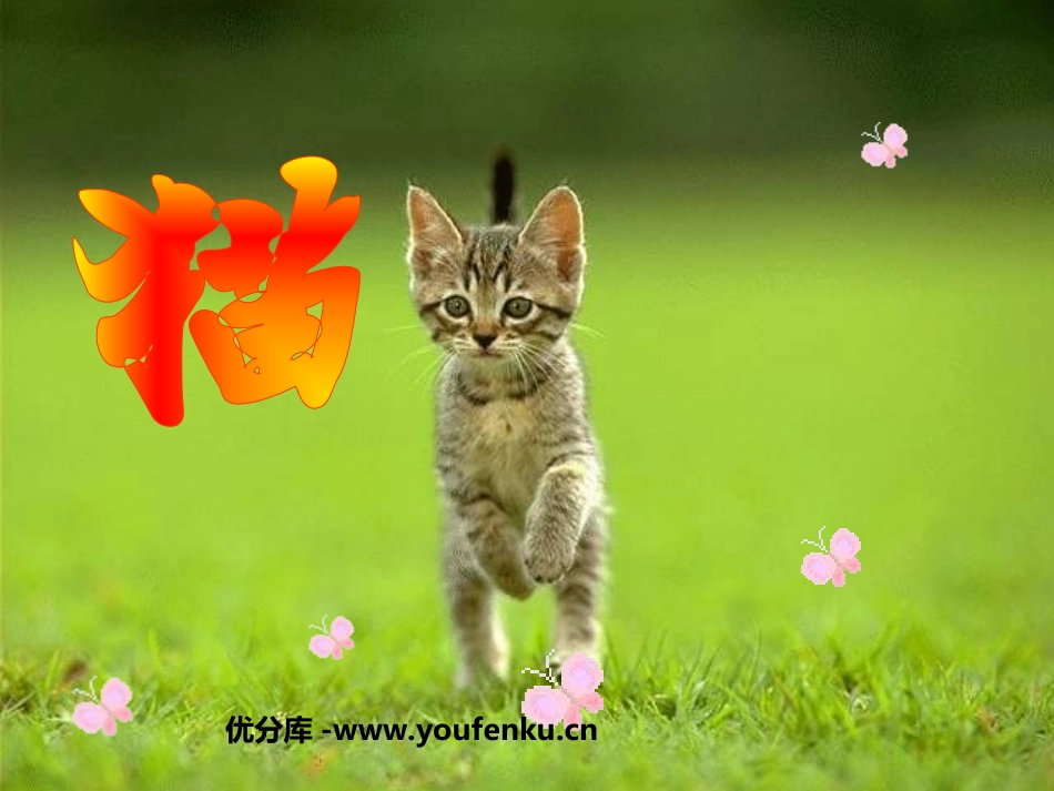 《猫》PPT课件[部编版四年级语文上册]_第1页