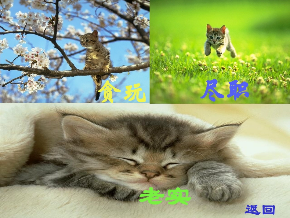 《猫》PPT课件[部编版四年级语文上册]_第3页