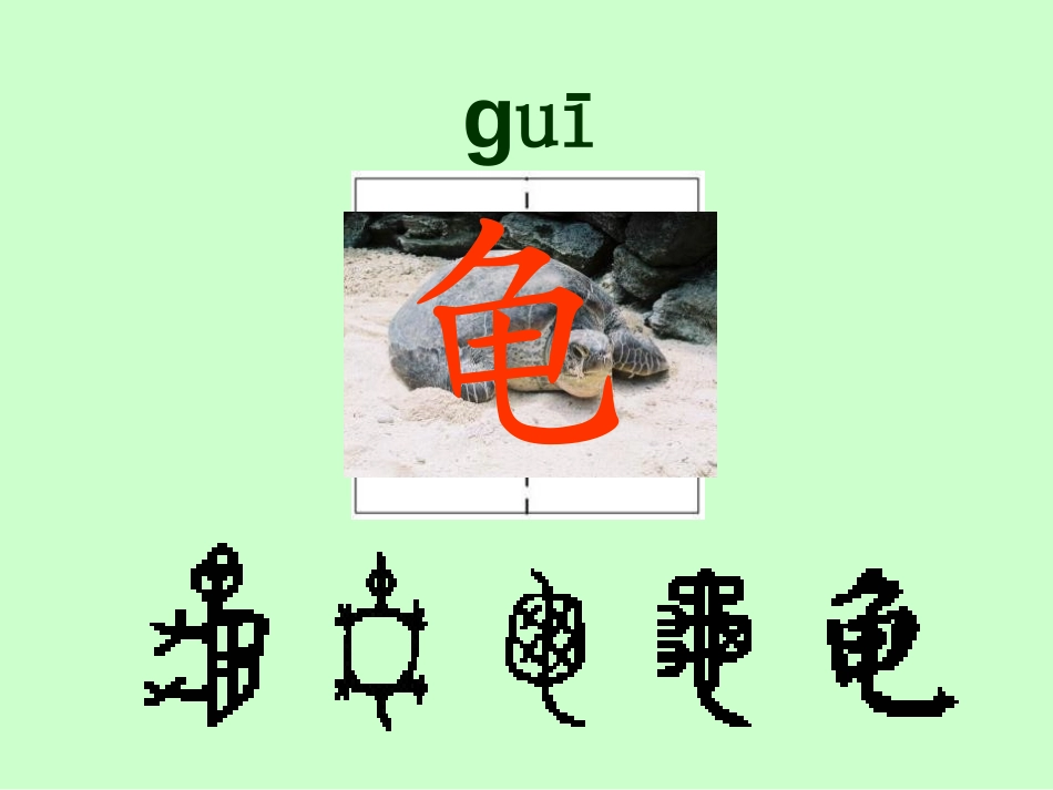 《可爱的西沙群岛》PPT课件[S版二年级语文下册]_第3页