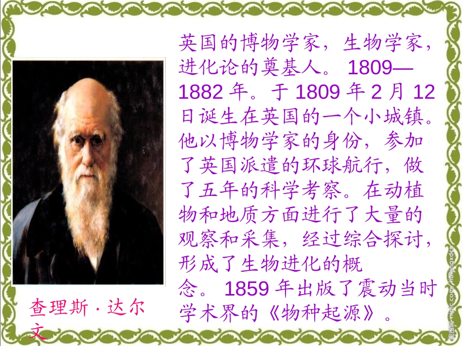 《孩子考科学家》PPT课件[S版三年级语文上册]_第3页