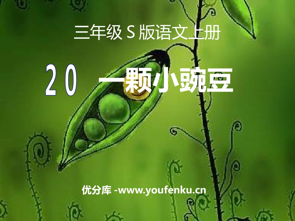 《一颗小豌豆》PPT课件[S版三年级语文上册]_第1页