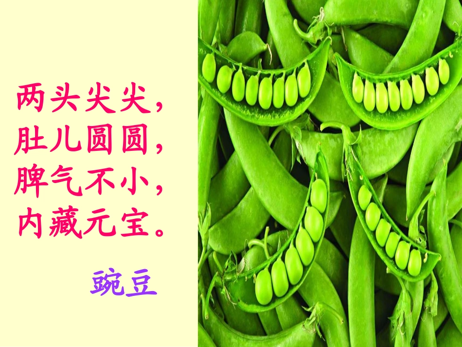 《一颗小豌豆》PPT课件[S版三年级语文上册]_第2页