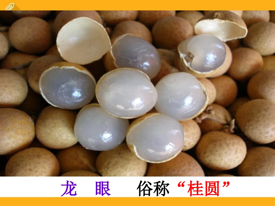 《说话算数》PPT课件[S版三年级语文上册]_第3页