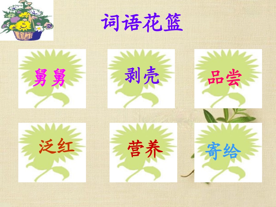 《说话算数》PPT课件[S版三年级语文上册]_第2页